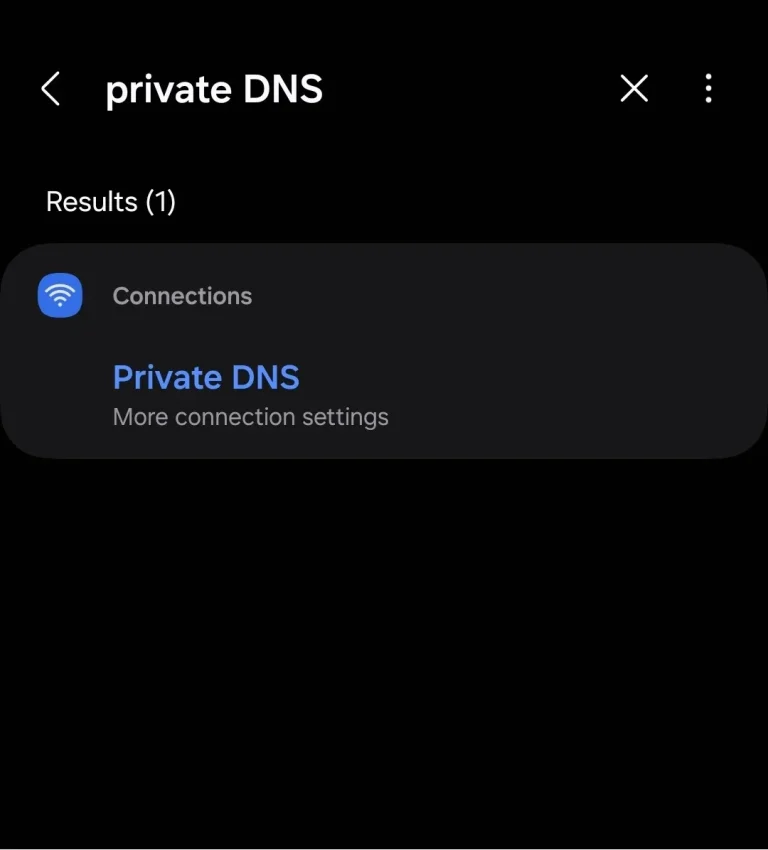 Private DNS Search