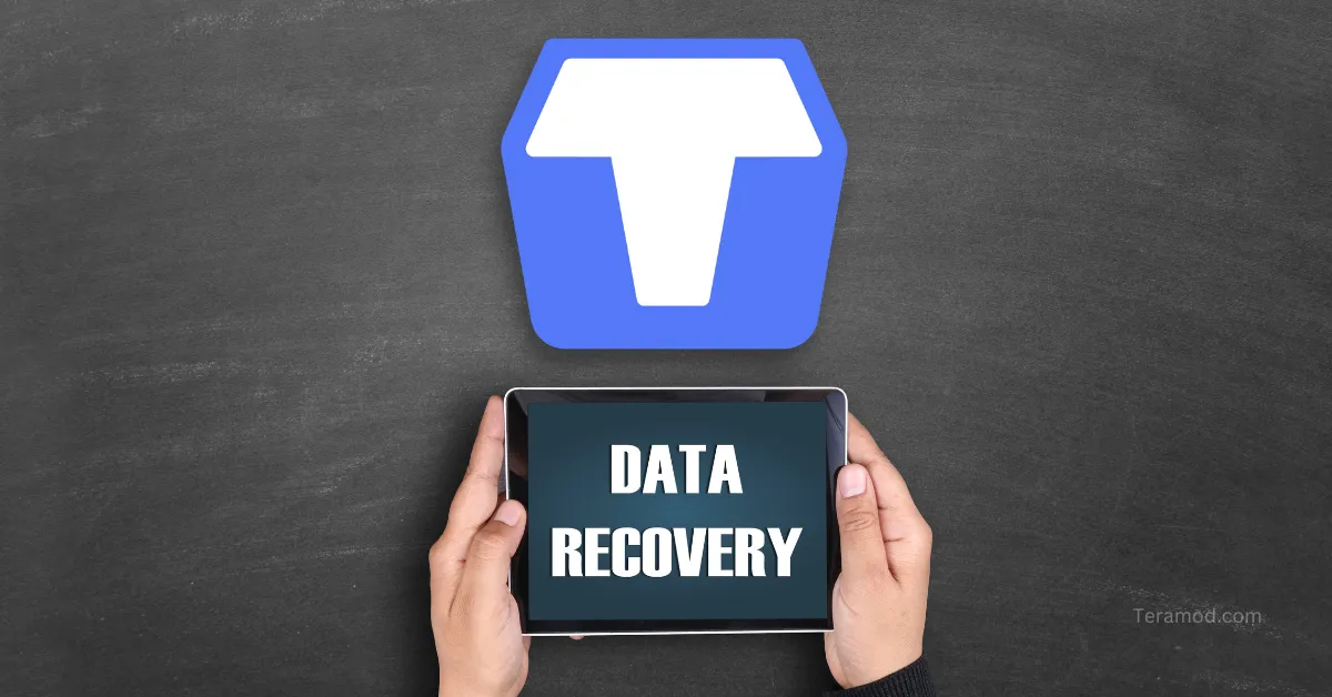TeraBox Data Recovery