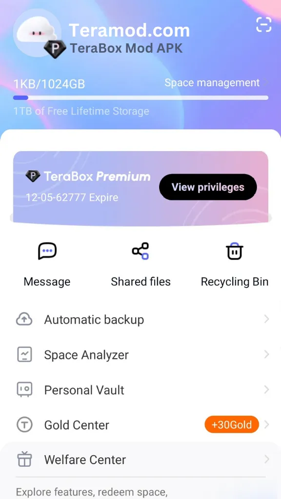 Screenshot of unlocked premium dashboard in TeraBox Mod APK